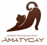 AMATY CAY, питомник бенгальских кошек